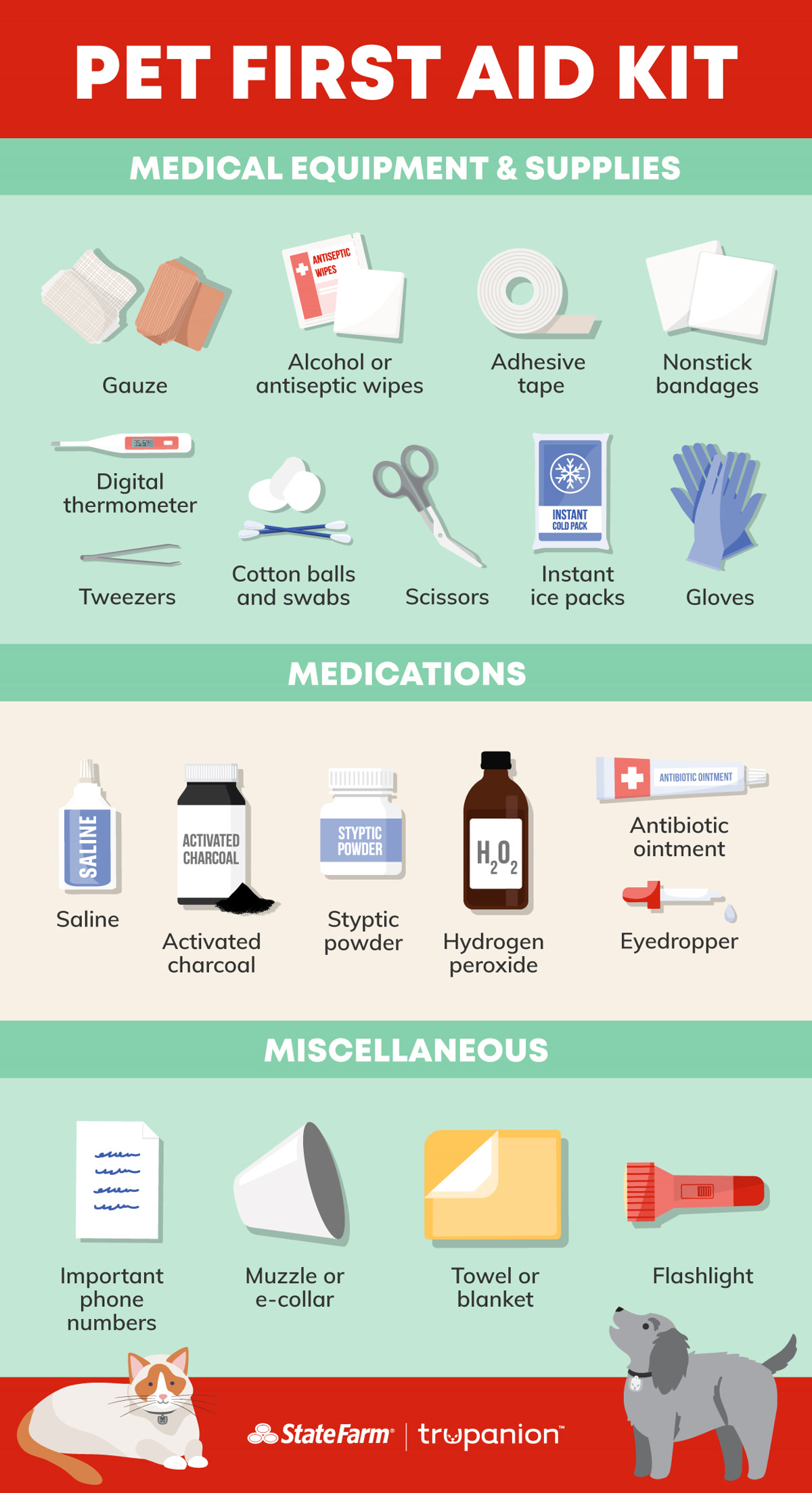 Pet First Aid Kit: Why You Nee…