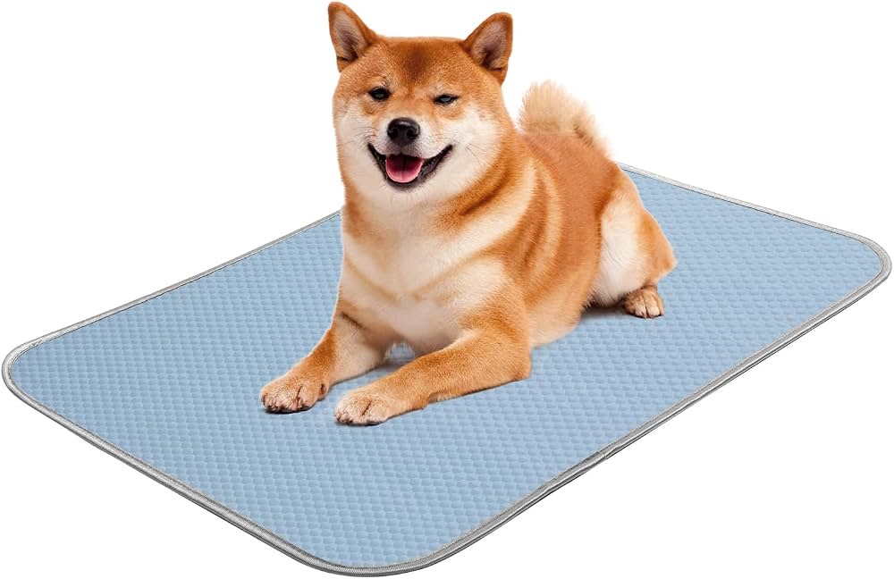 Amazon.com : Buvlnee Summer Dog Cooling Mat, Washable Ice ...