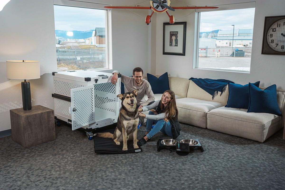 Home Office Harmony: Impact Dog Crate, Dog, and Stylish Couple