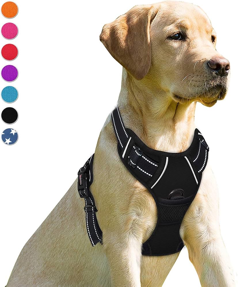 Yellow labrador wearing black front clip no pull harness with reflective stitching