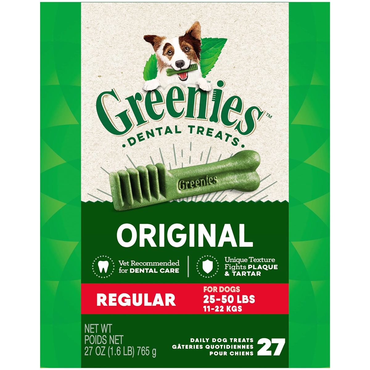 Greenies dental chews regular size product bag for dog teeth cleaning