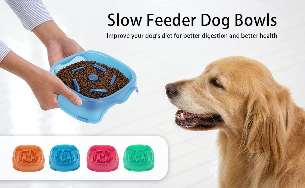 A slow feeder dog bowl with raised maze patterns showing kibble scattered in the grooves
