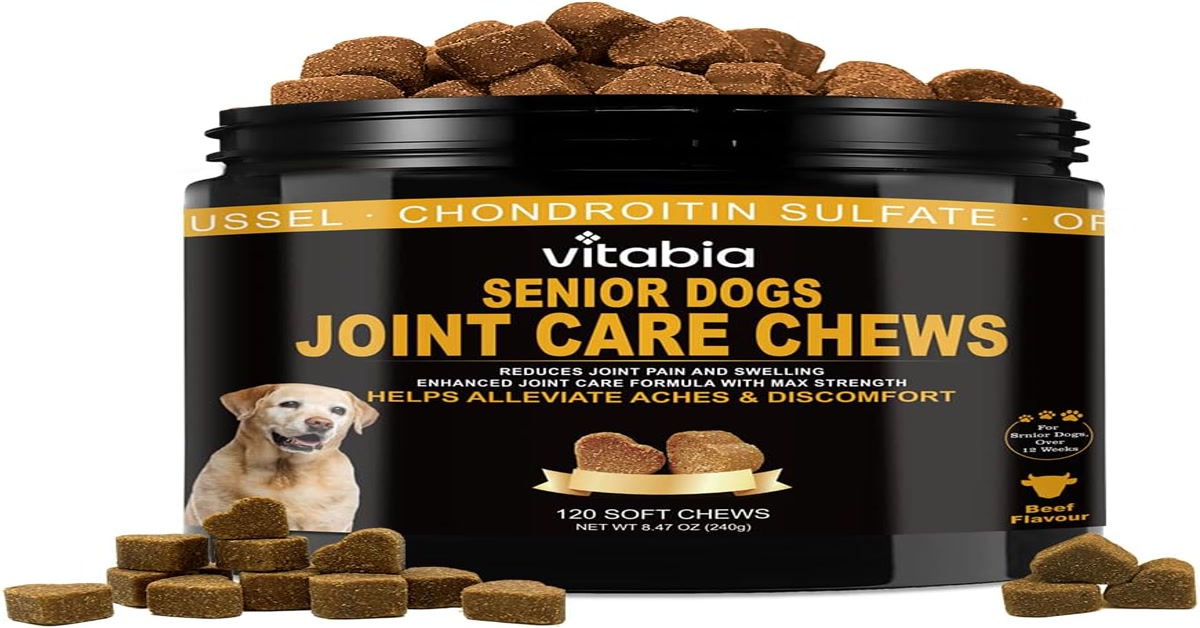 dog vitamins and supplements on counter with fish oil and glucosamine bottles