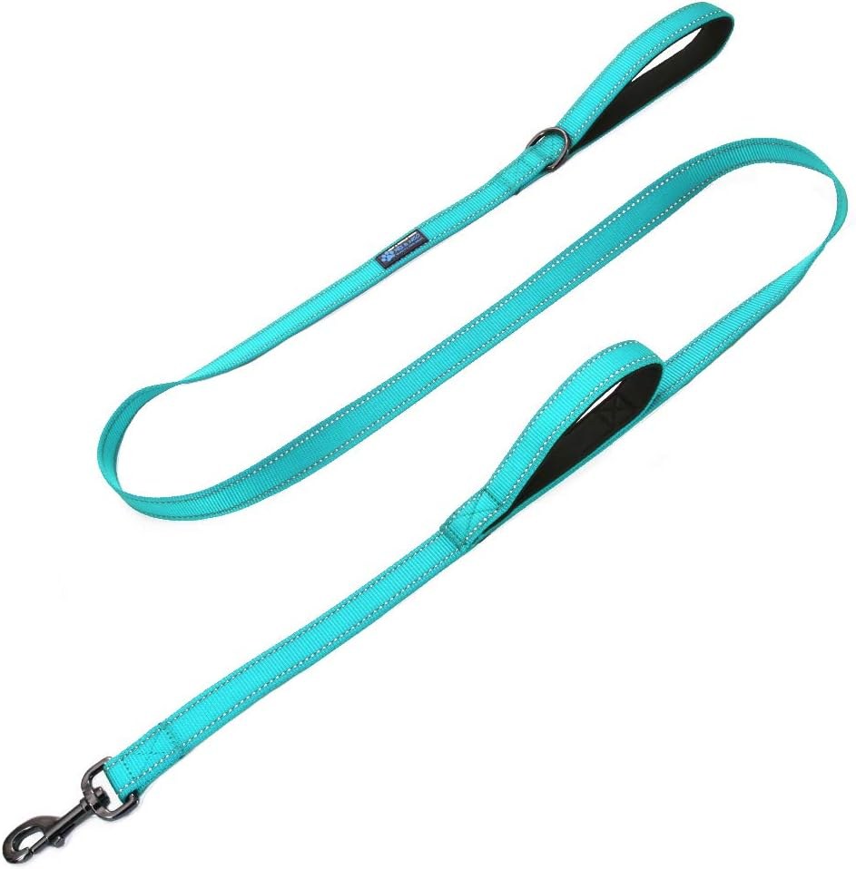 Max and Neo double handle reflective dog leash in black with padded handles