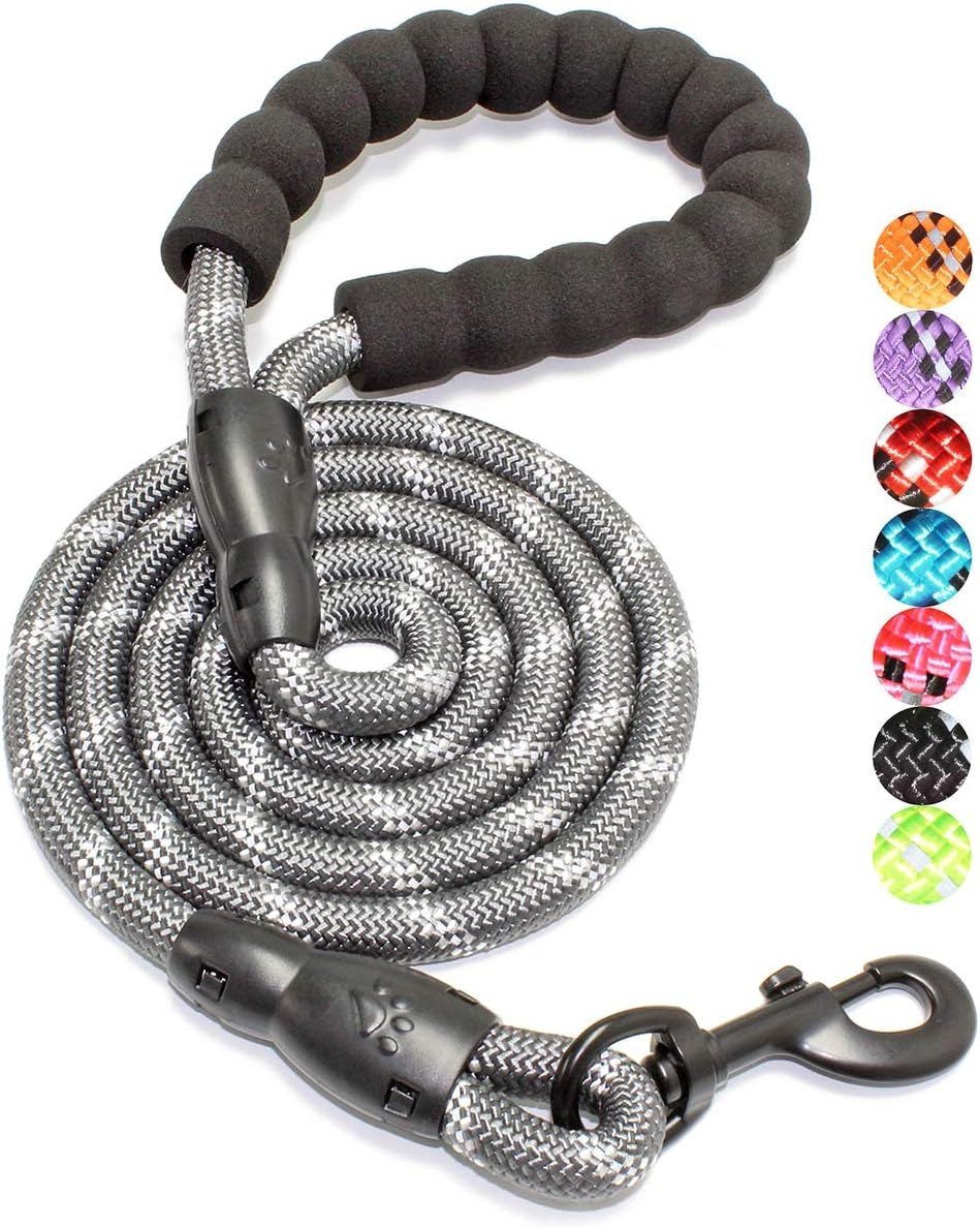 BAAPET dog leash with padded handle and reflective threads in black