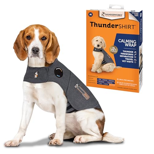 ThunderShirt