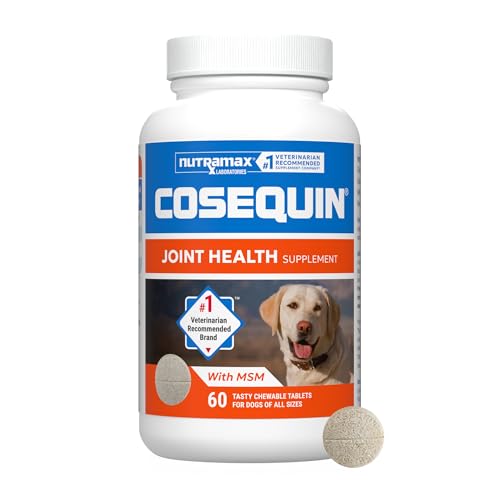 glucosamine and chondroitin supplements