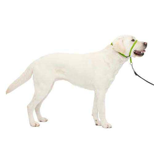 PetSafe Gentle Leader Headcollar