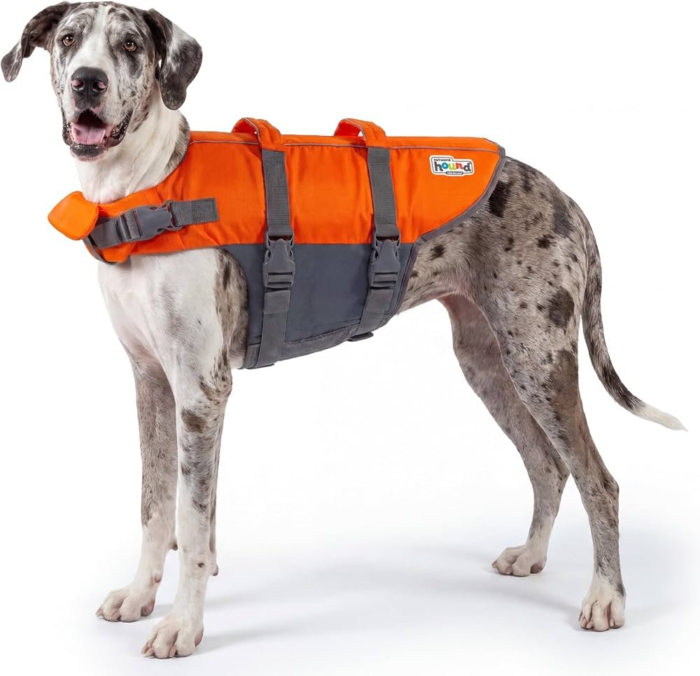 Outward Hound Granby Splash orange dog life jacket product photo