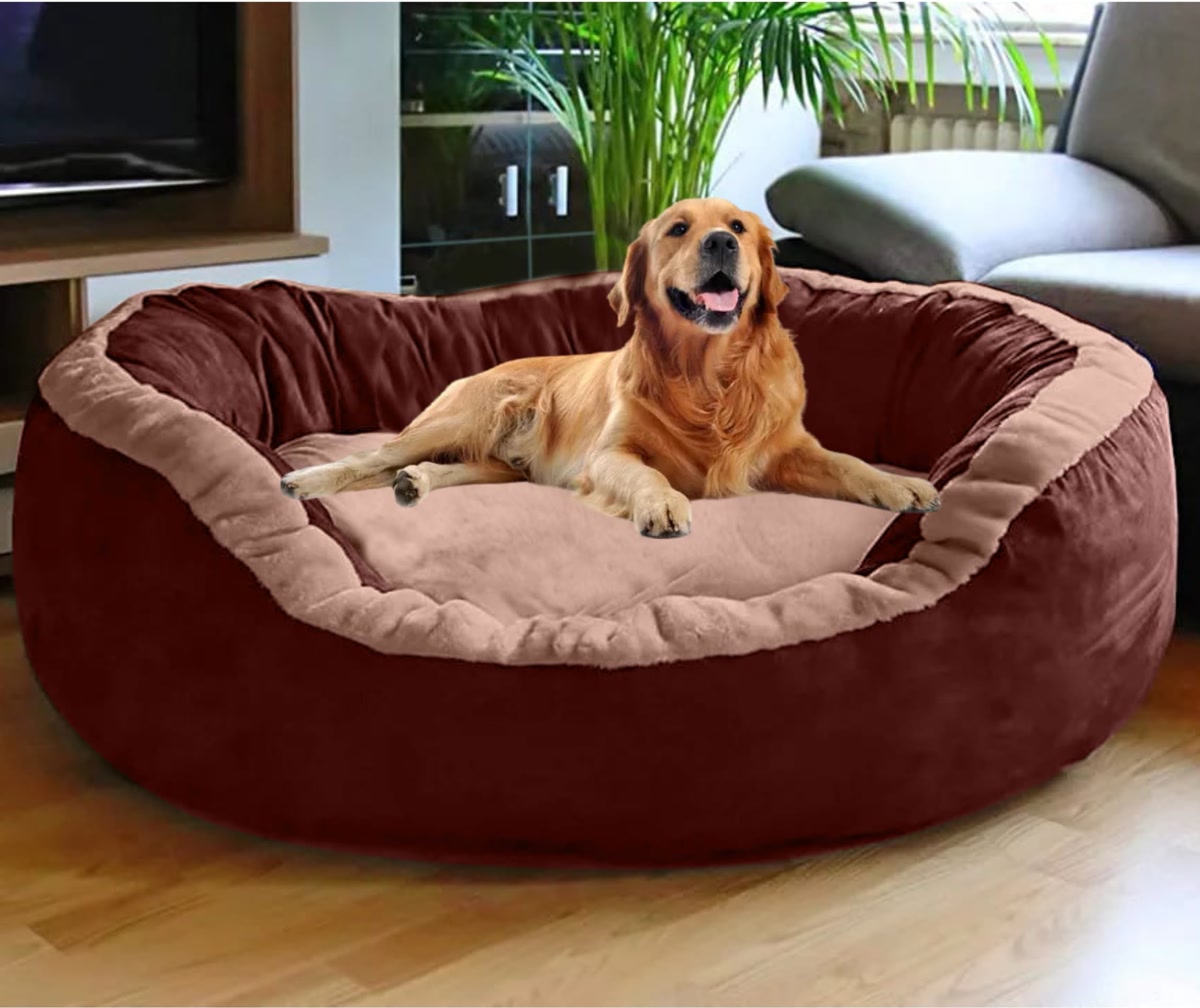 Large dog bed product for big breeds showing durability and support