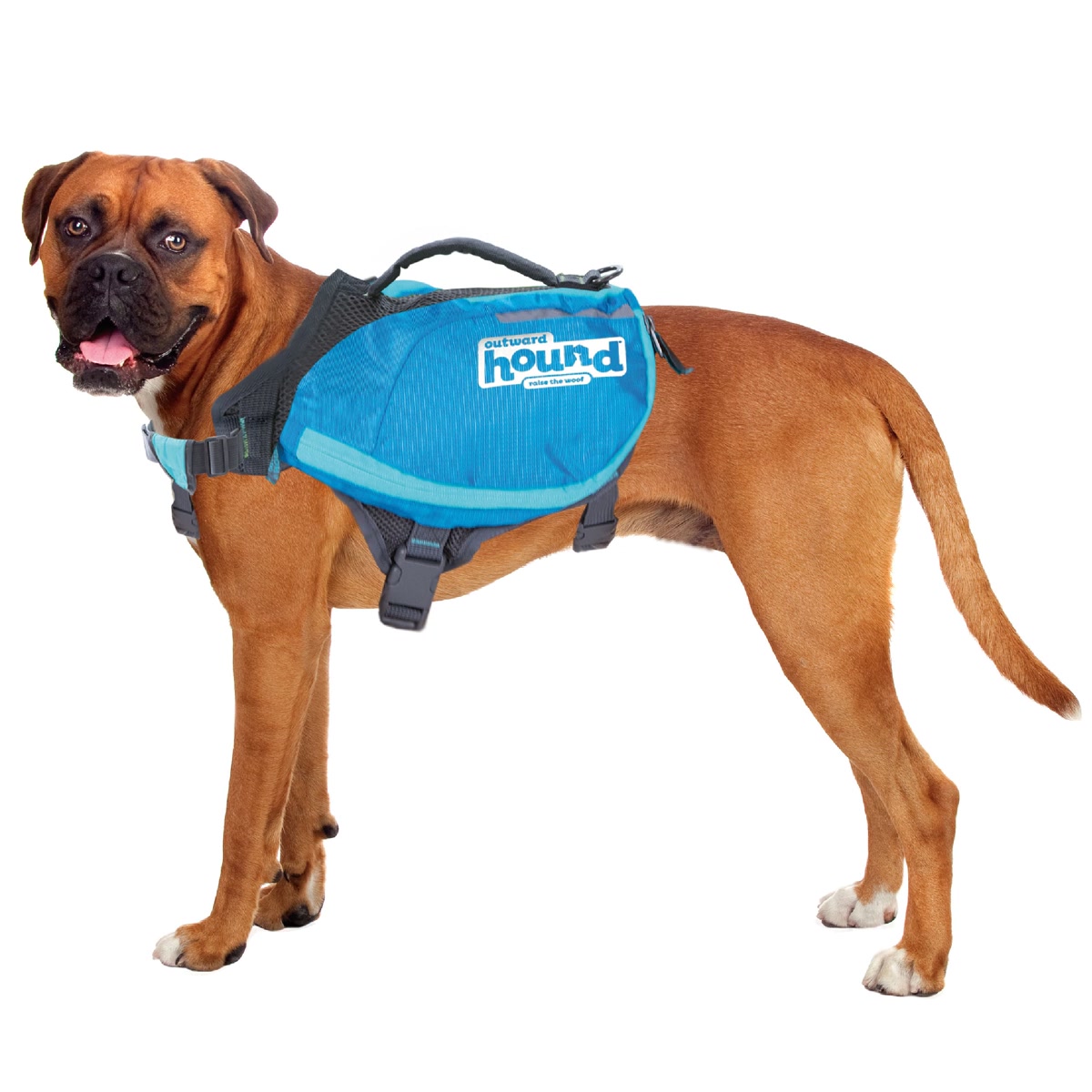 Kolossus Dog Carrier Backpack – Best Large Dog Backpack for Hi…