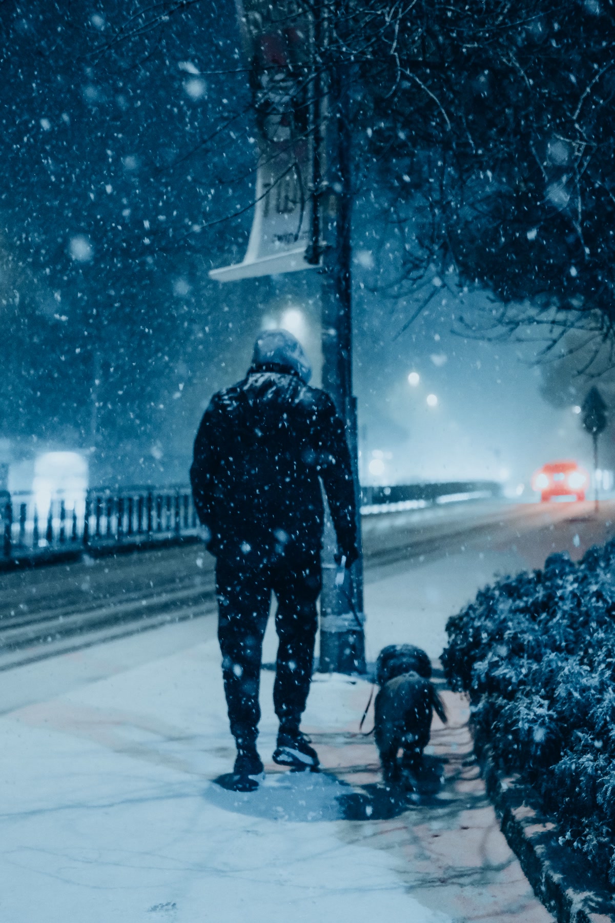 Person walking small dog on leash during heavy snowfall at night