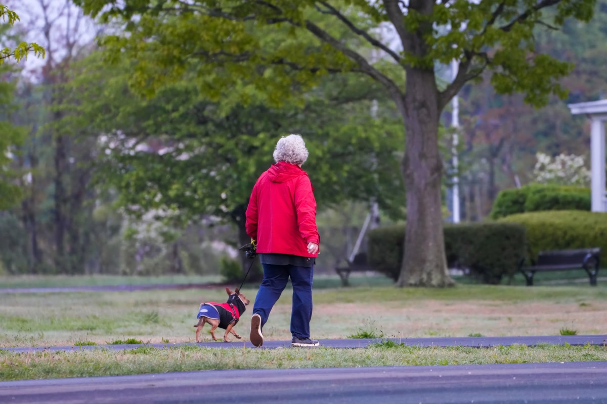 Person in red jacket walking small dog on leash through park in autumn