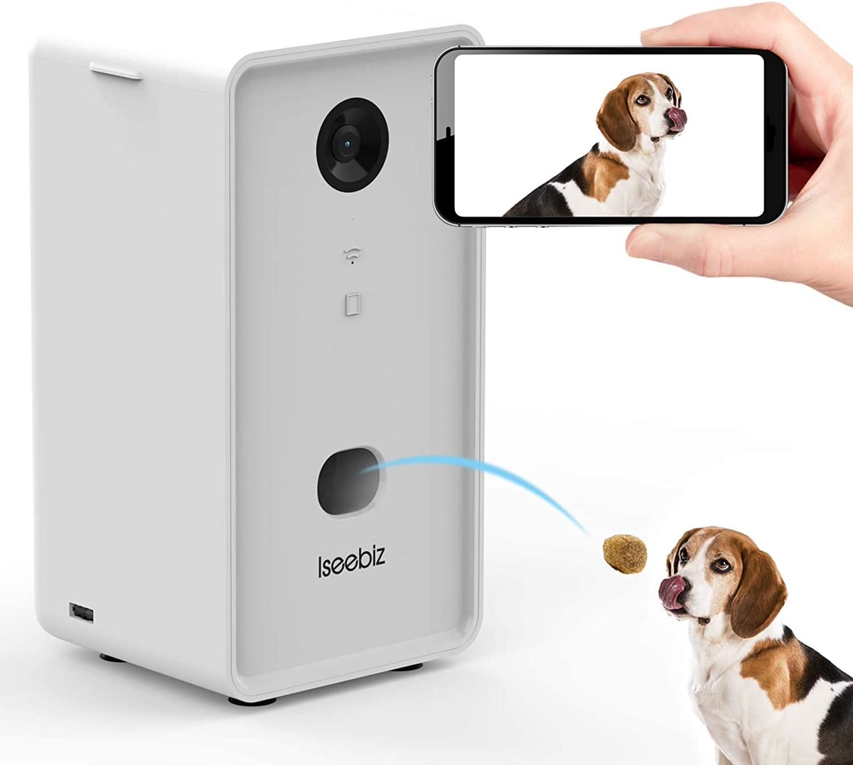 Pet treat camera in modern living room