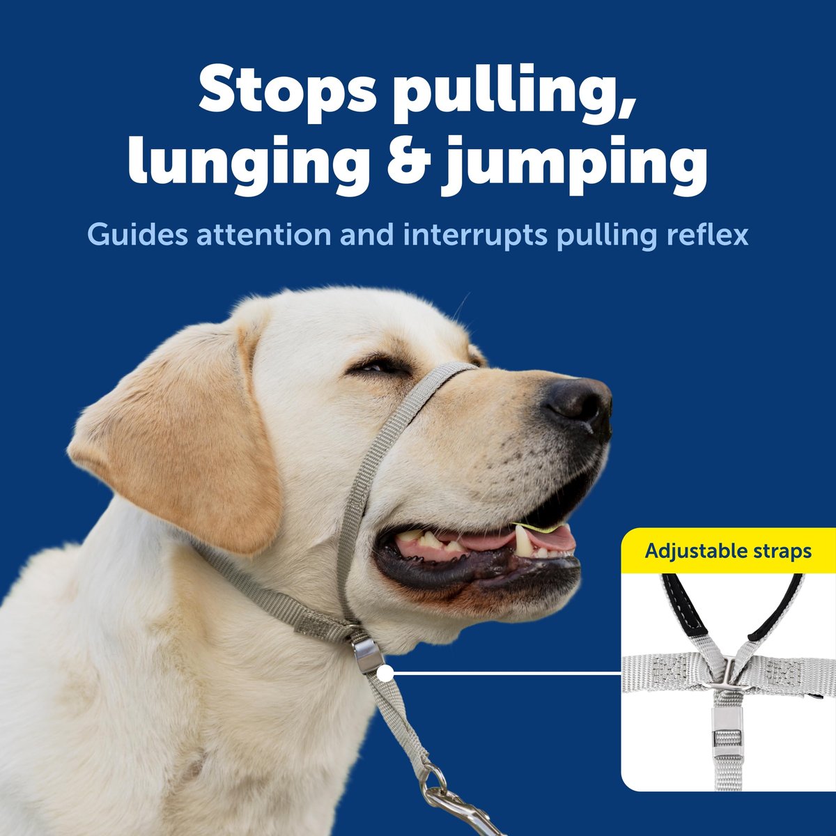 PetSafe Gentle Leader headcollar product photo