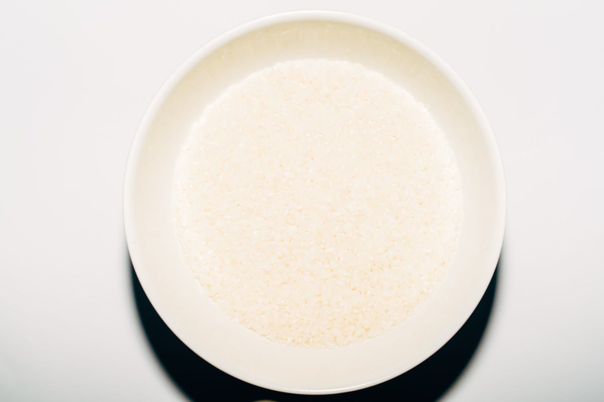 Plain white rice in bowl for dog bland diet