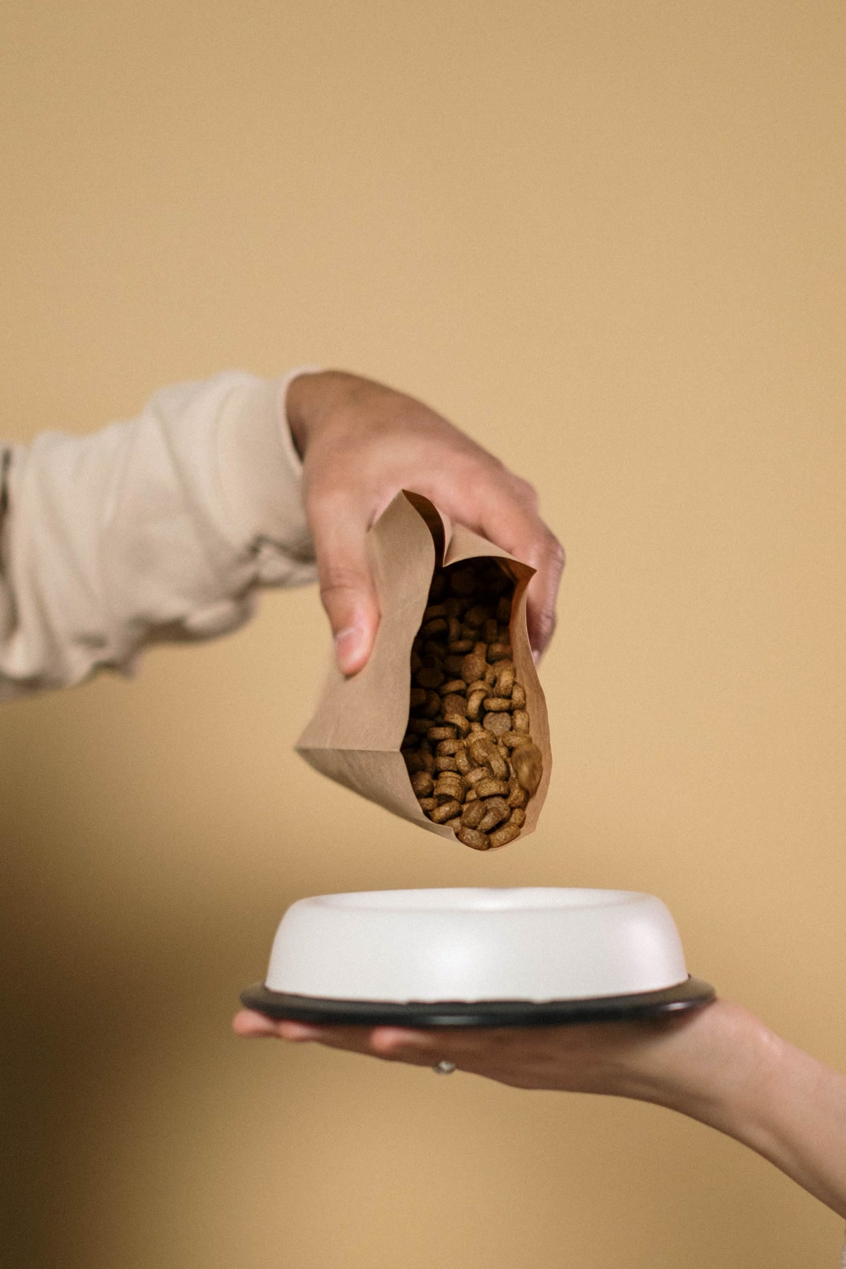 Hands pouring dry kibble from bag into bowl for portion control