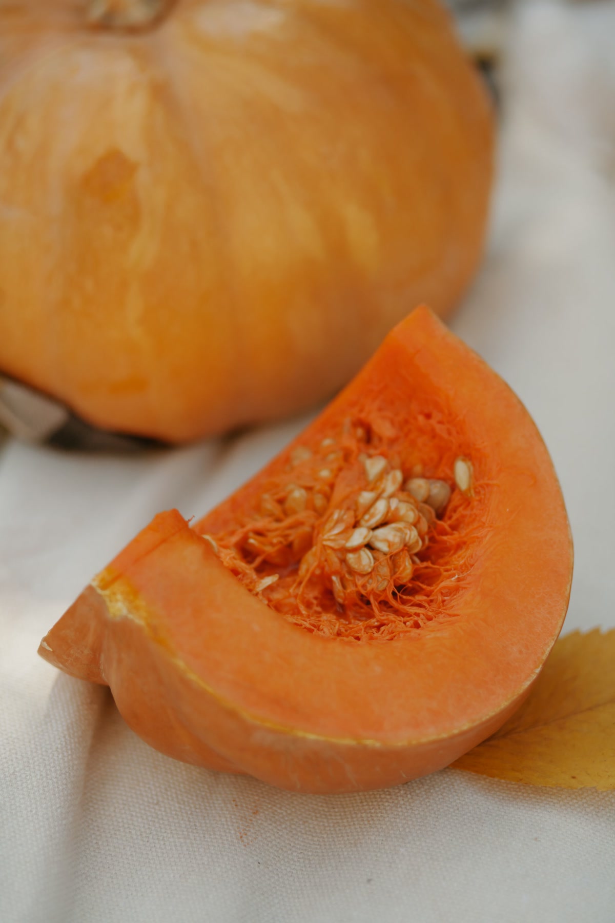 Fresh pumpkin for dog digestive health and diarrhea relief