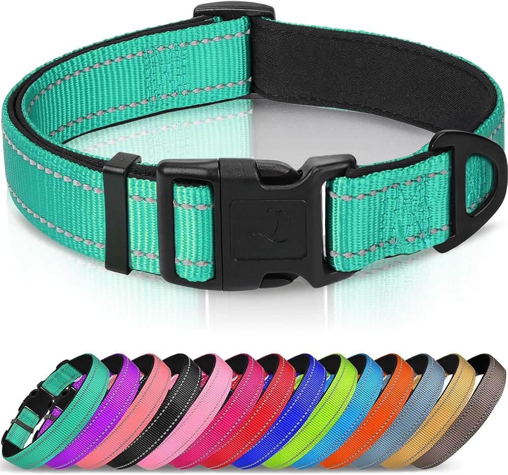Teal nylon dog collar with reflective stitching and black plastic buckle in multiple colors