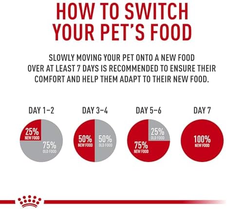 Royal Canin Veterinary Diet Gastrointestinal dry cat food — high-energy formula supporting digestive health and urinary health for cats with IBD