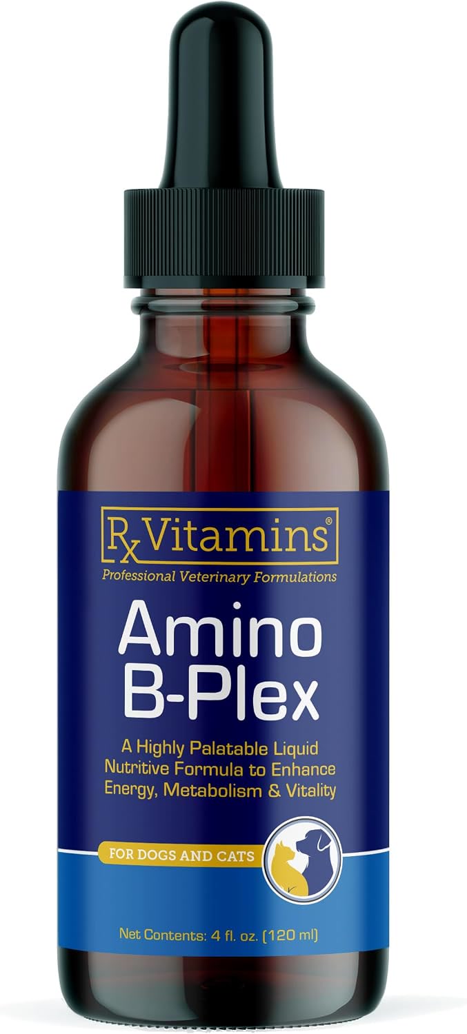 Rx Vitamins Amino B Plex liquid B-complex supplement for cats with kidney disease