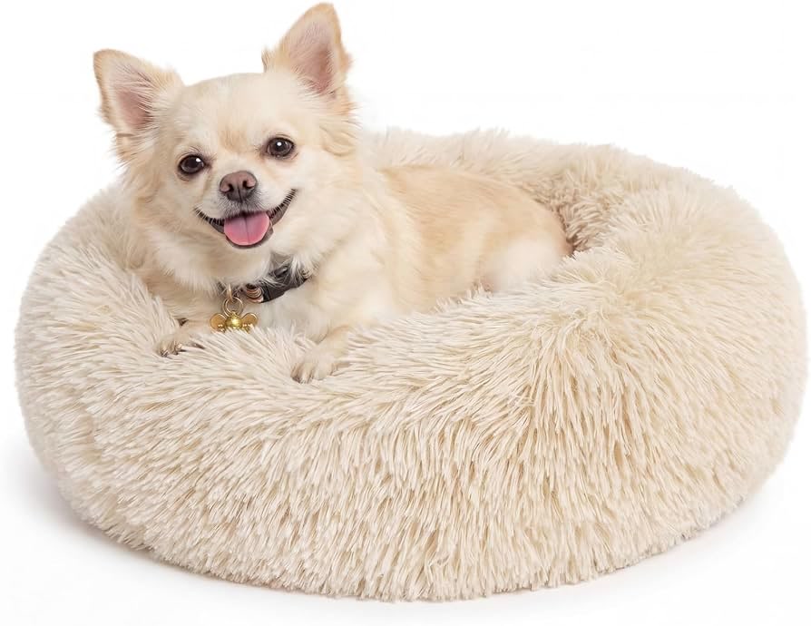 small dog sleeping comfortably on soft dog bed