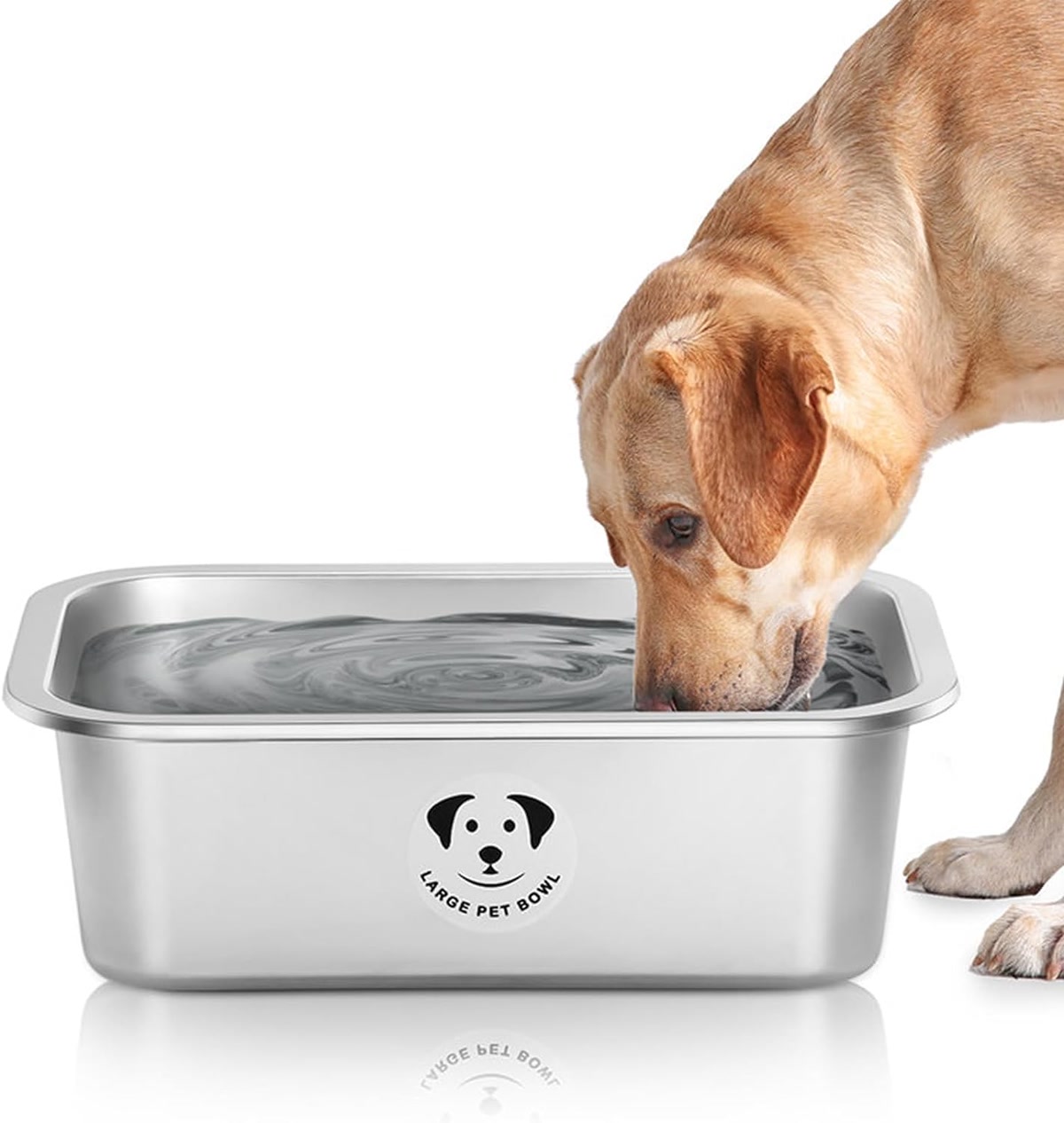 Large stainless steel dog bowl with dog drinking water for large breeds