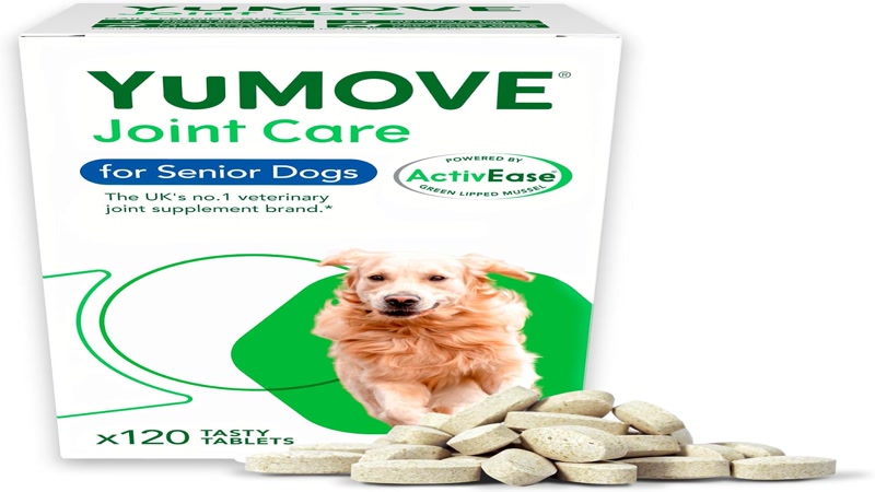 glucosamine chondroitin and fish oil supplements for dogs with arthritis