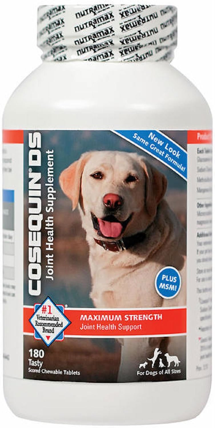 Cosequin DS Plus MSM glucosamine chondroitin joint supplement bottle for dogs