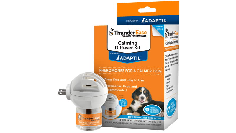 vet prescribing anxiety medication