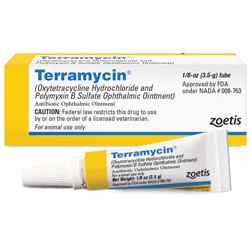 Terramycin antibiotic ophthalmic ointment box and tube for treating cat eye infections