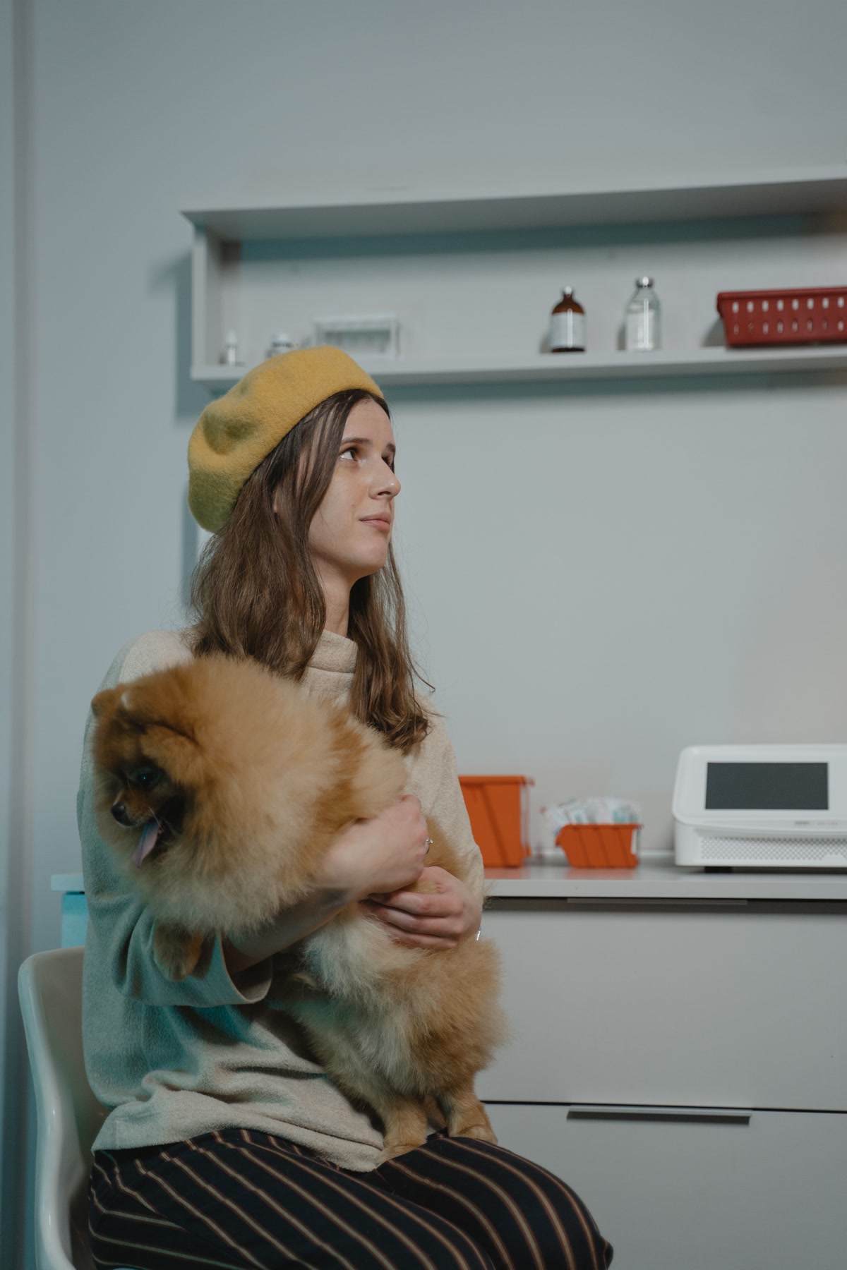 Woman sitting in vet clinic waiting room holding fluffy pomeranian dog