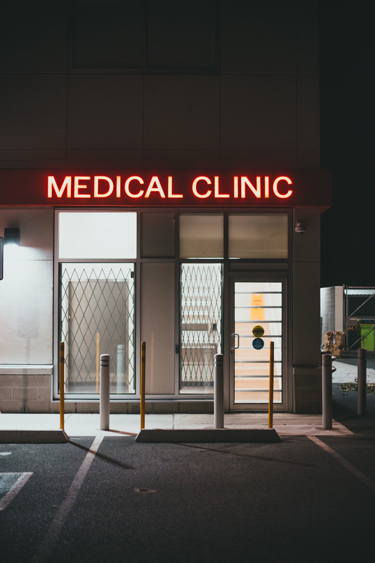 veterinarian examining dog in clinic during checkup