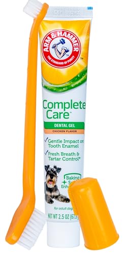 Arm & Hammer Complete Care Dental Gel Toothbrush Kit, Chicken, 3-Piece