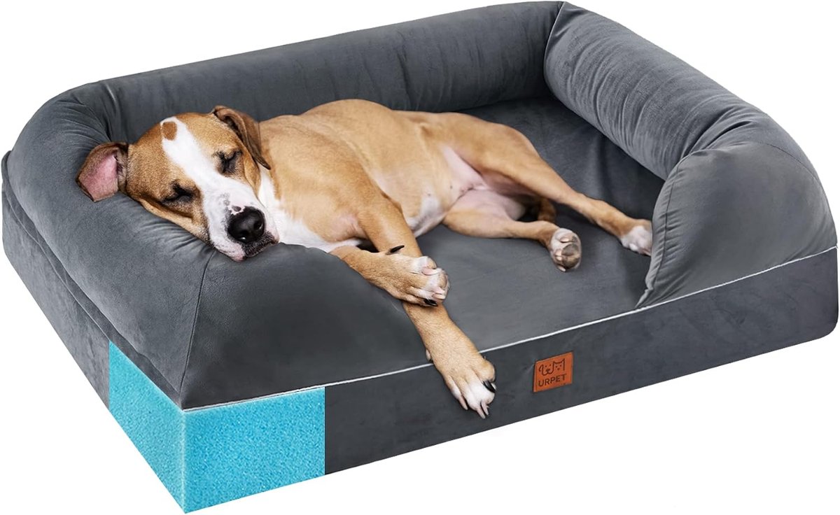 Orthopedic memory foam dog bed large