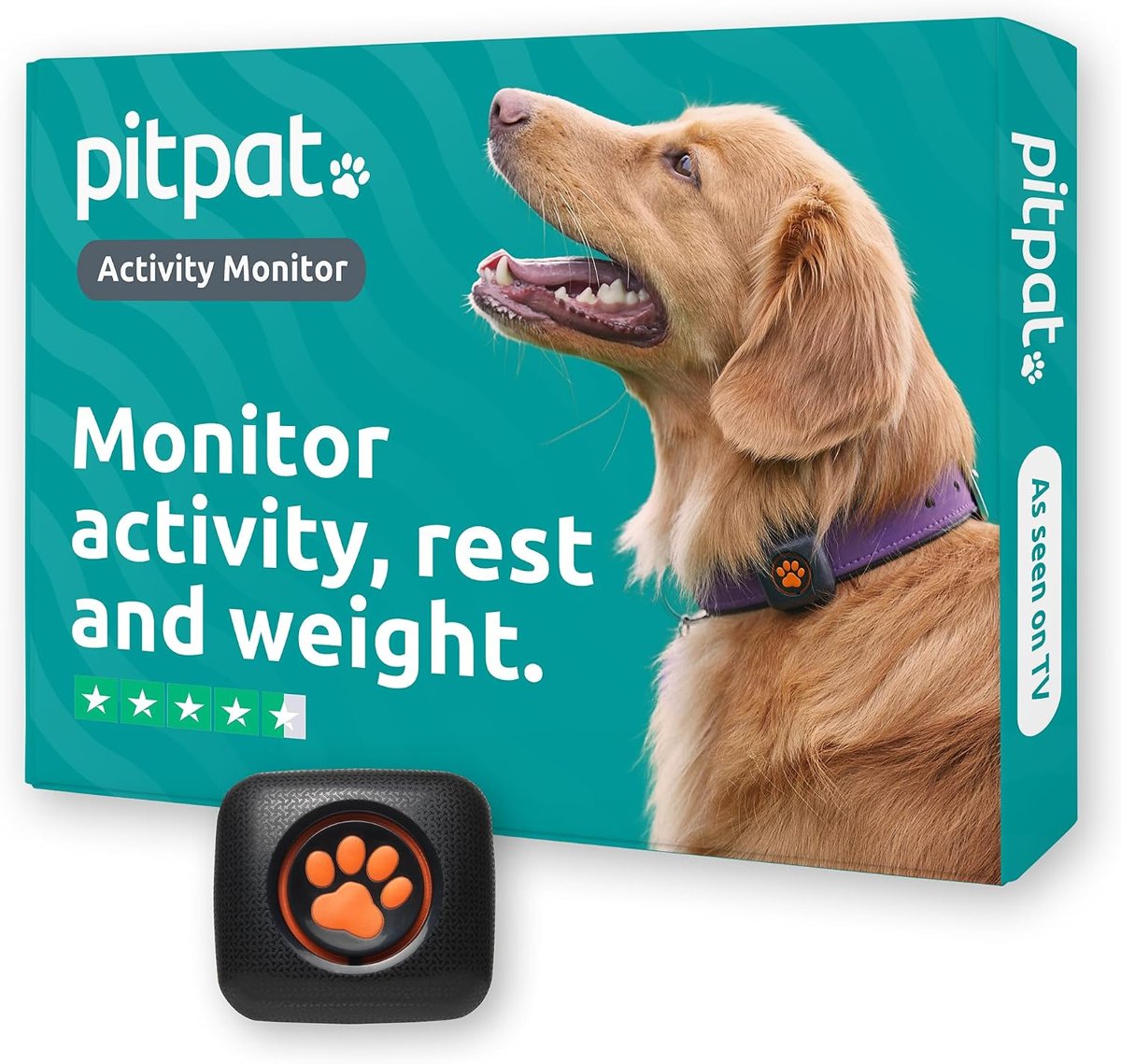 Dog activity monitor tracker