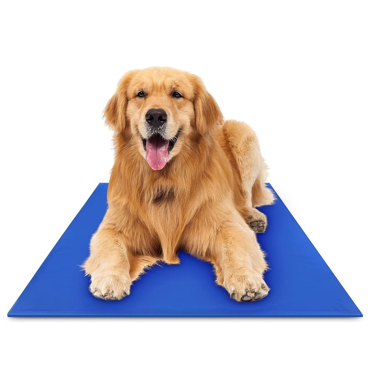 Green Pet Shop Chillz Gel Mat for dogs