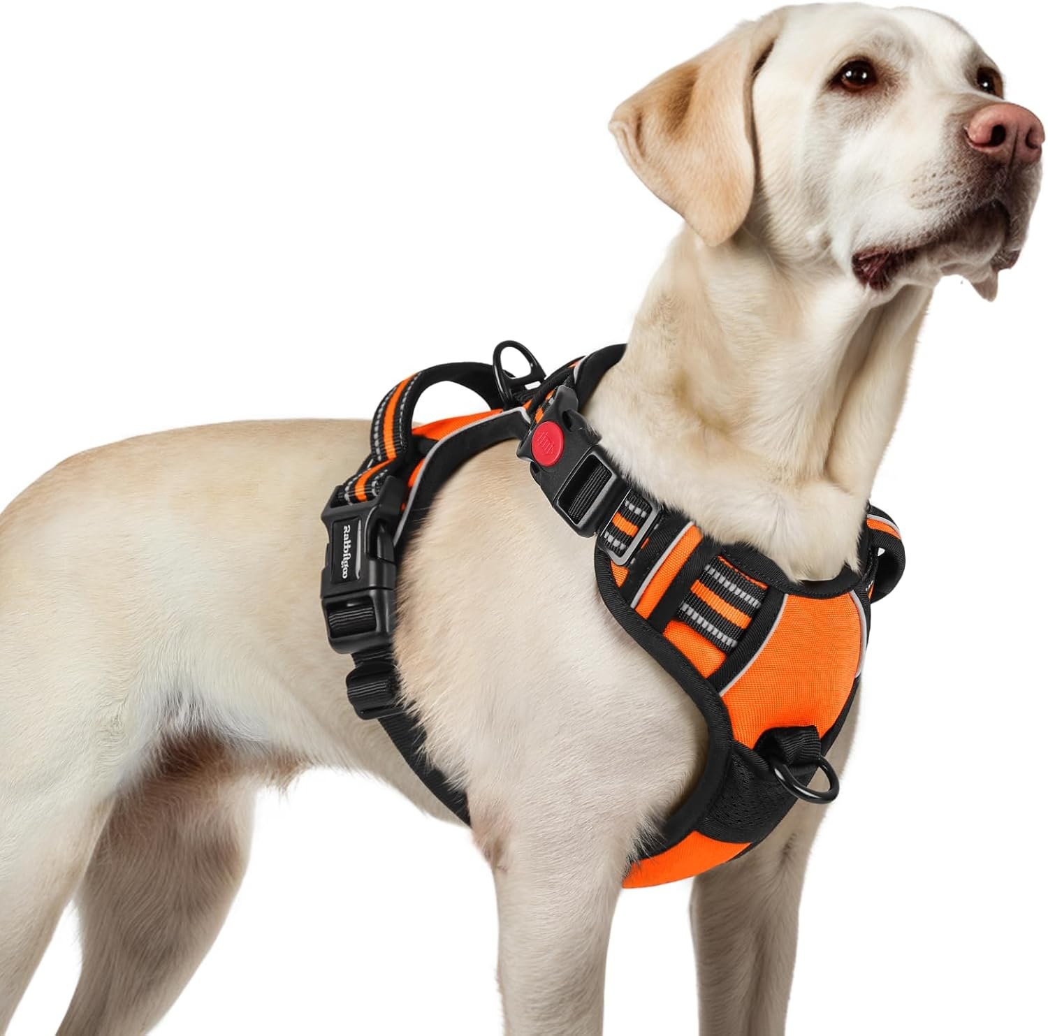 Rabbitgoo no-pull dog harness for large dogs showing dual leash clips, padded chest plate, and reflective stitching