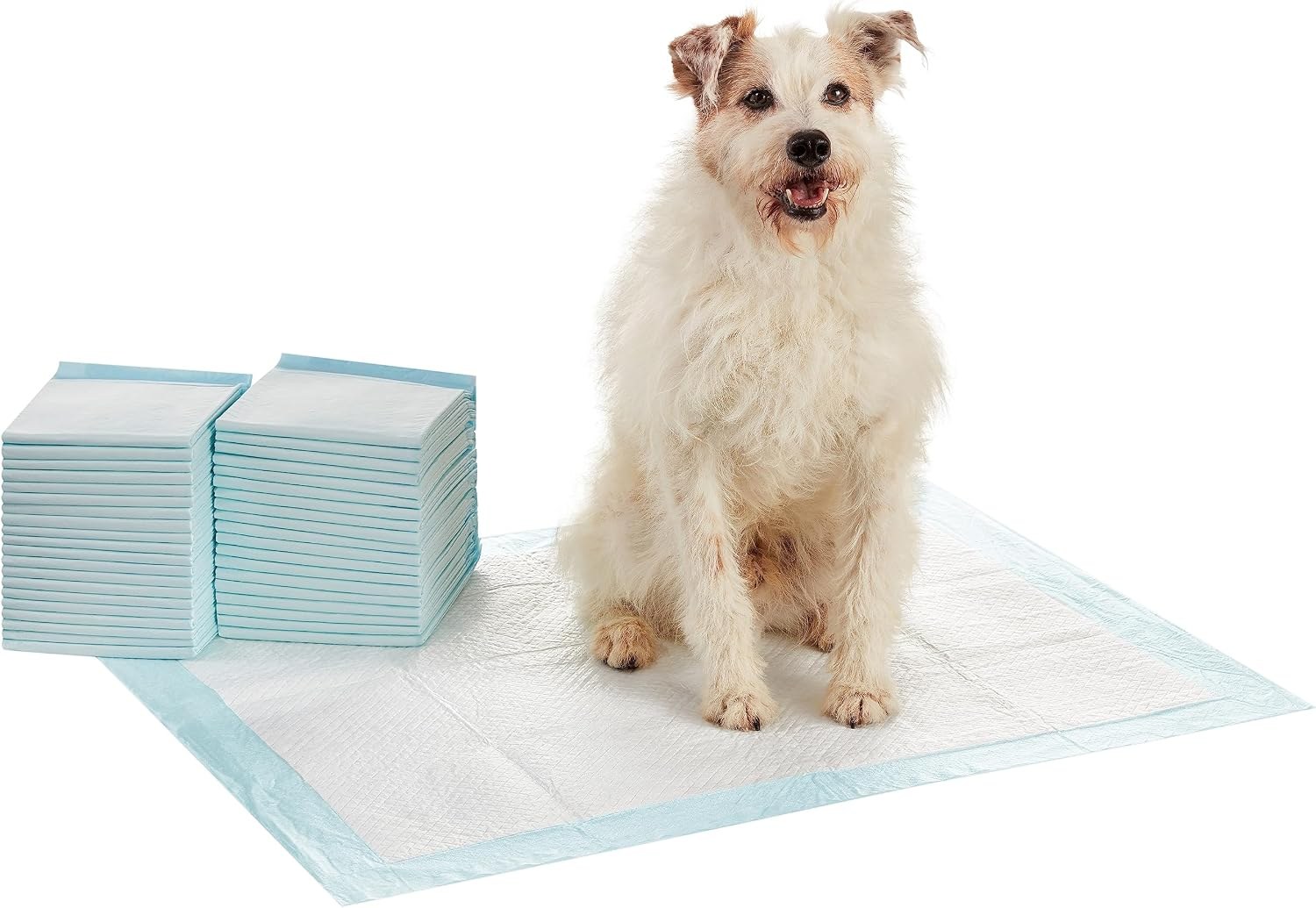 Amazon Basics Dog and Puppy Training Pads with 5-layer leak-proof design in blue and white