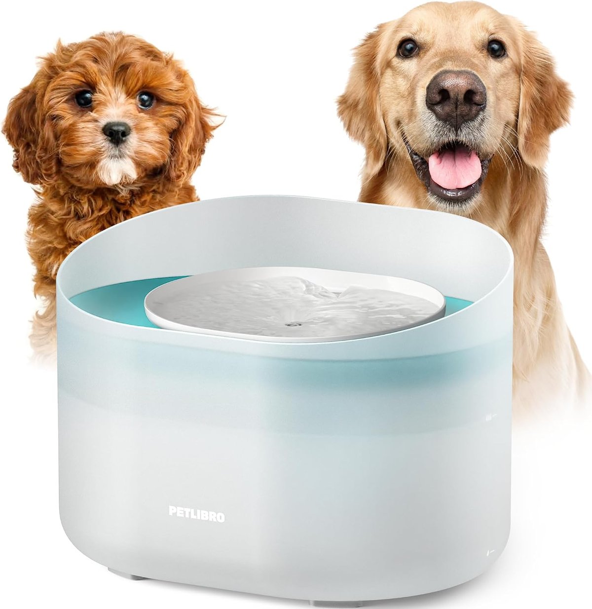 PETLIBRO Capsule white dog water fountain on kitchen counter