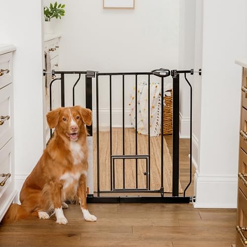 Carlson 29–36.5” Extra Wide Dog Gate with Small Pet Door, Walk-Through Pressure Mounted Metal Indoor Pet Saf