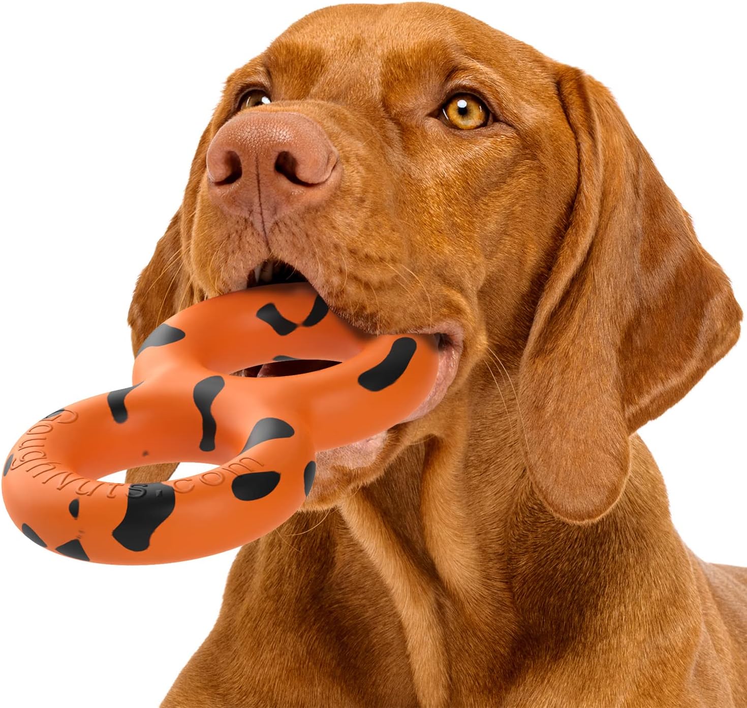 Goughnuts — Dog Toys for Aggressive Chewers