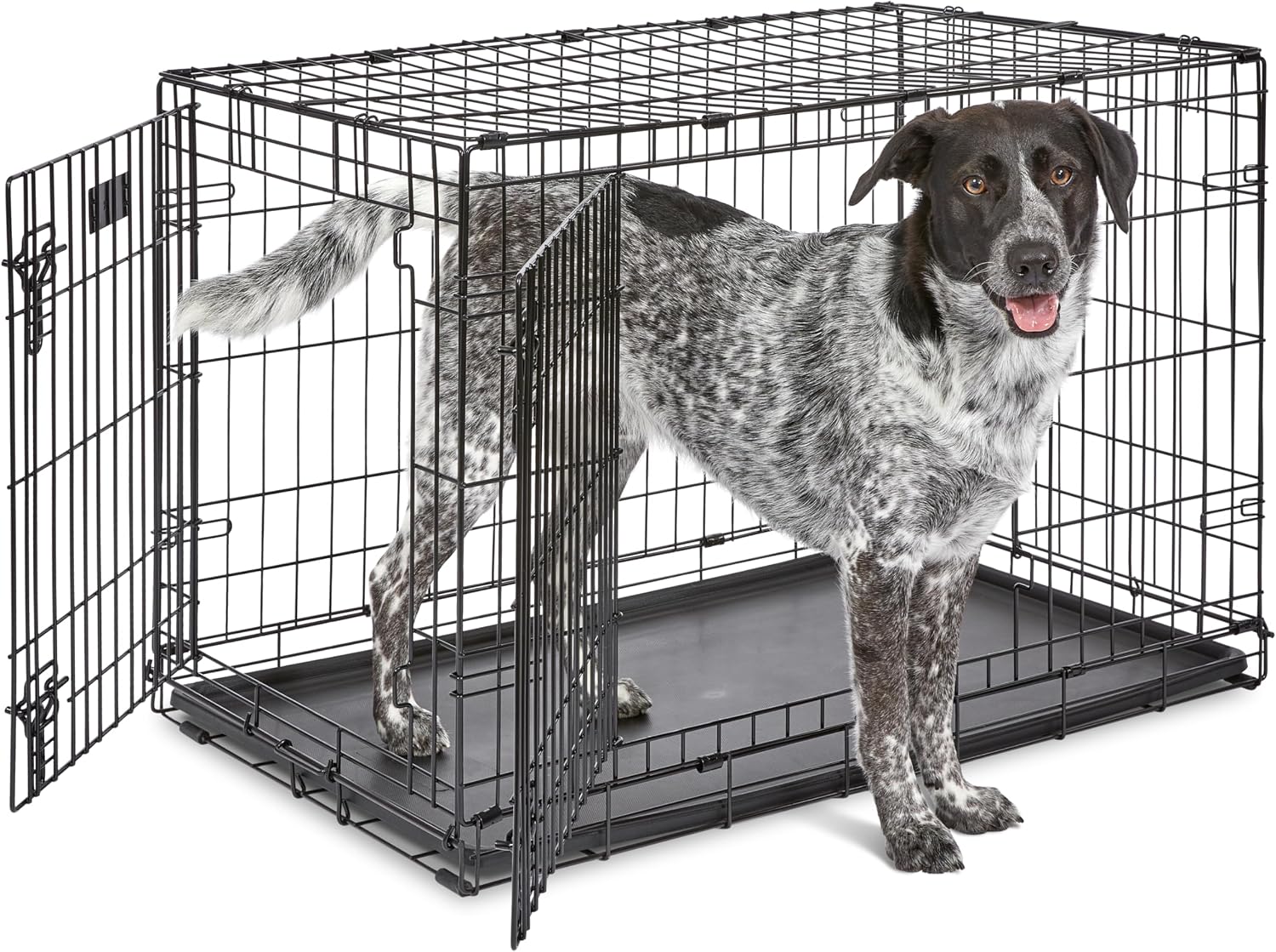 Midwest 36-Inch Double Door iCrate, for Medium-Large Breeds, 41-70 lbs