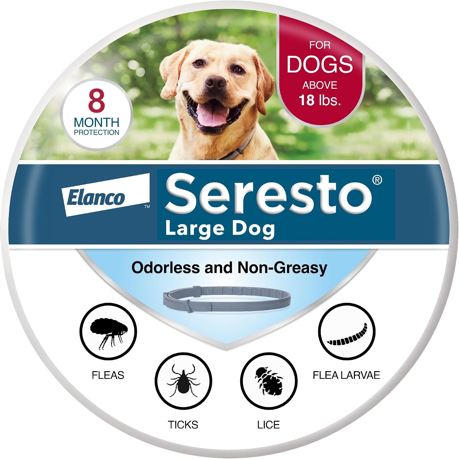 Seresto 8-month flea and tick collar for large dogs — real product photo