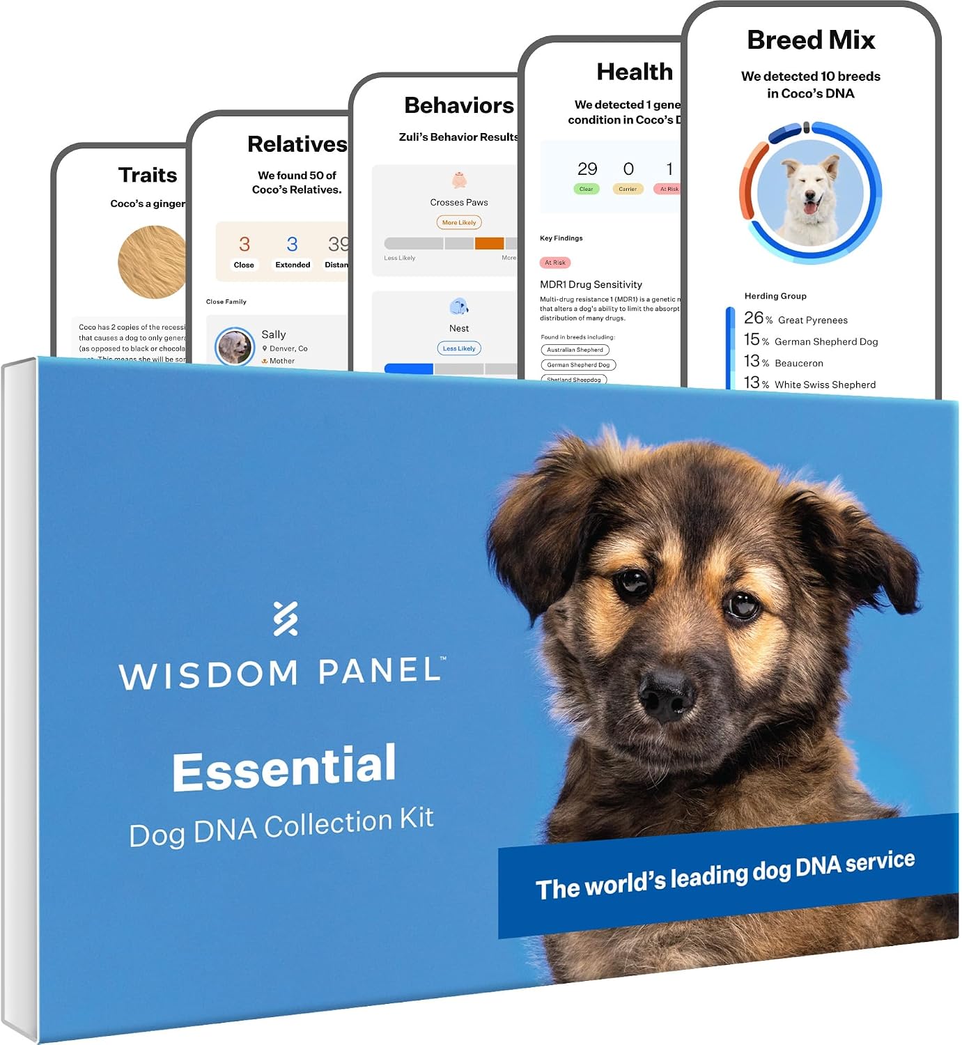Wisdom Panel Essential Dog DNA Test