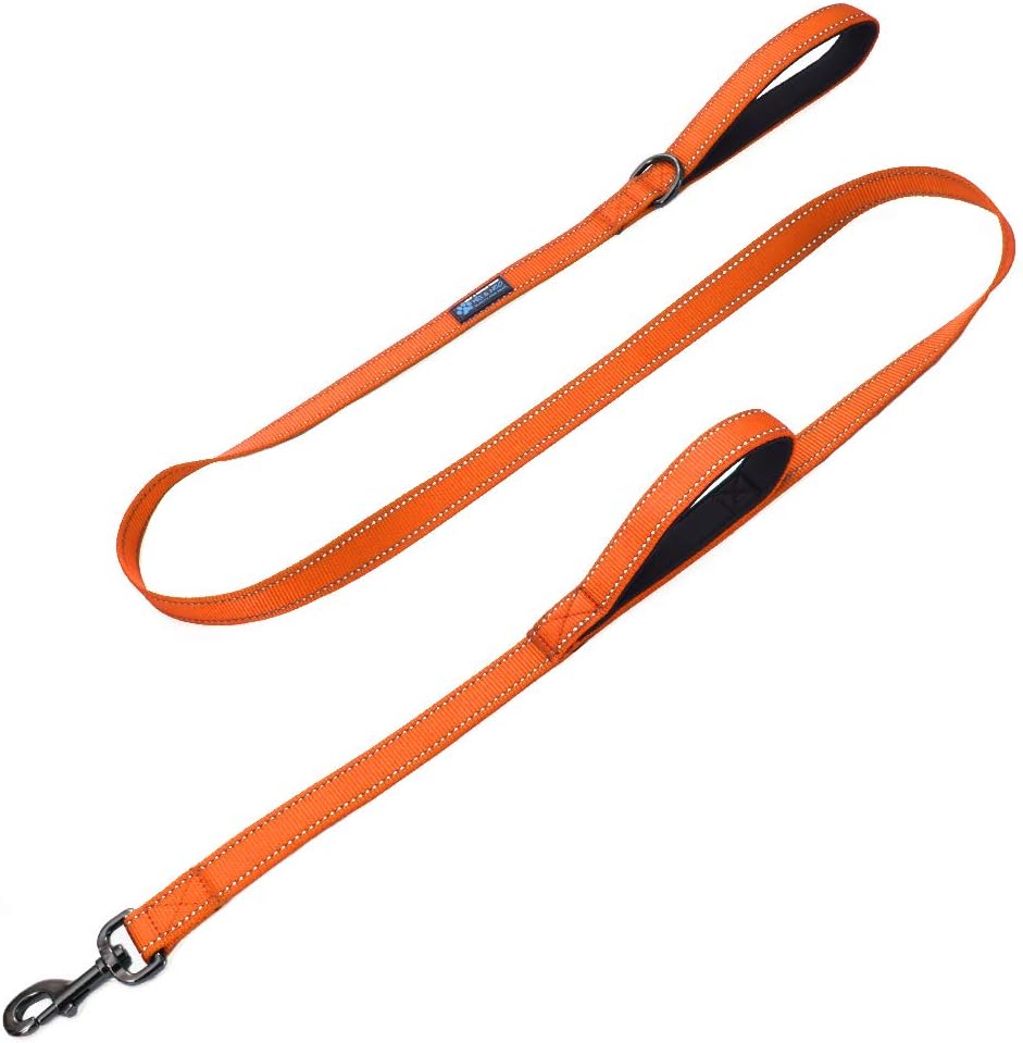 Max and Neo double-handle reflective dog leash in orange