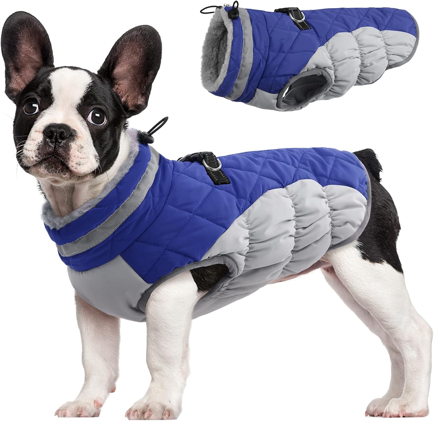 FUAMEY fleece dog winter jacket with built-in harness for medium dogs