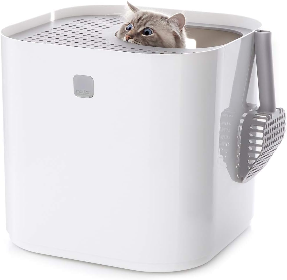 Modkat top-entry litter box in white with swivel lid