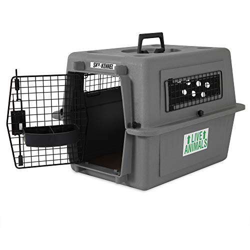 Petmate Sky Kennel in the 21-inch size