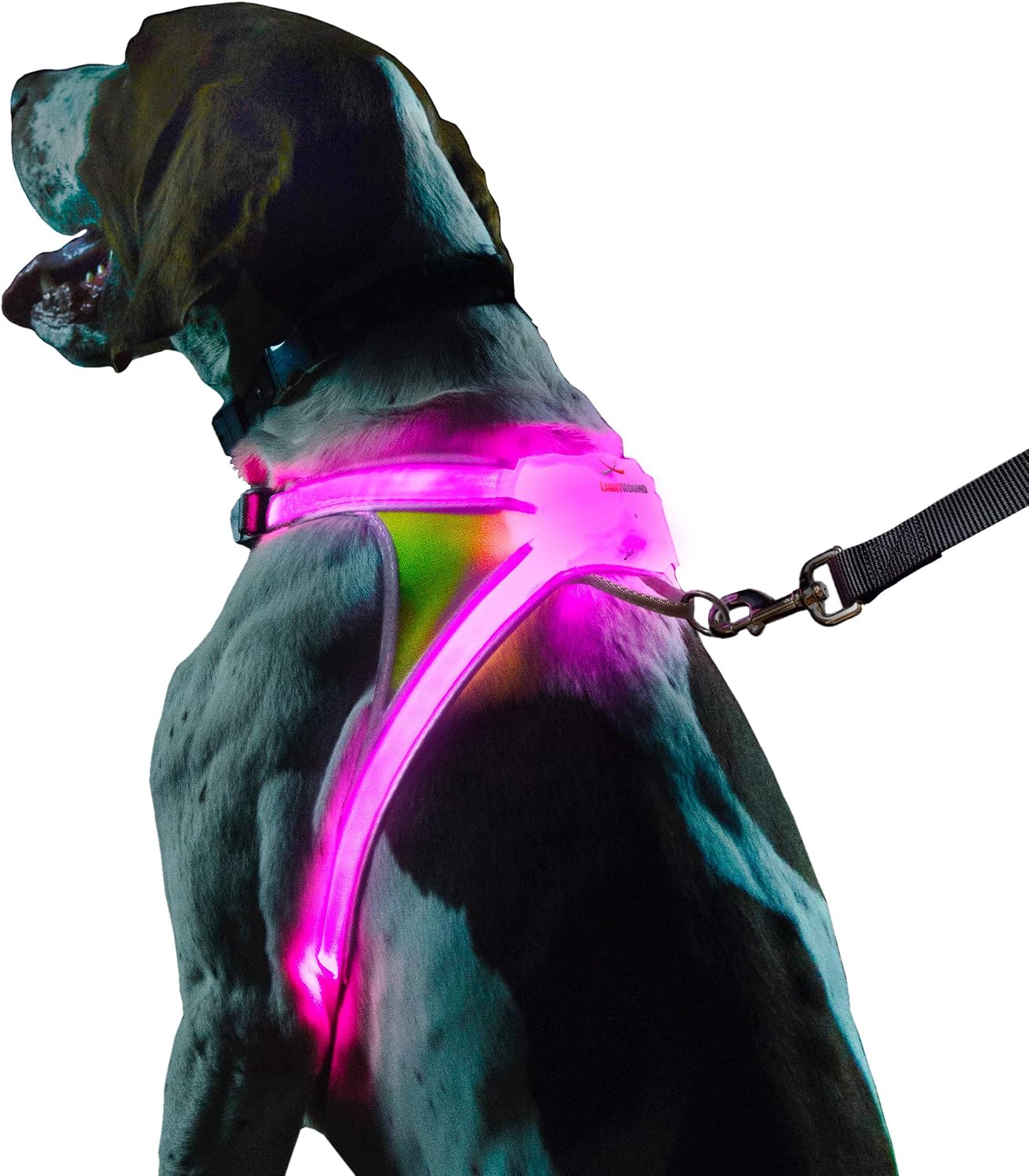 noxgear's LightHound